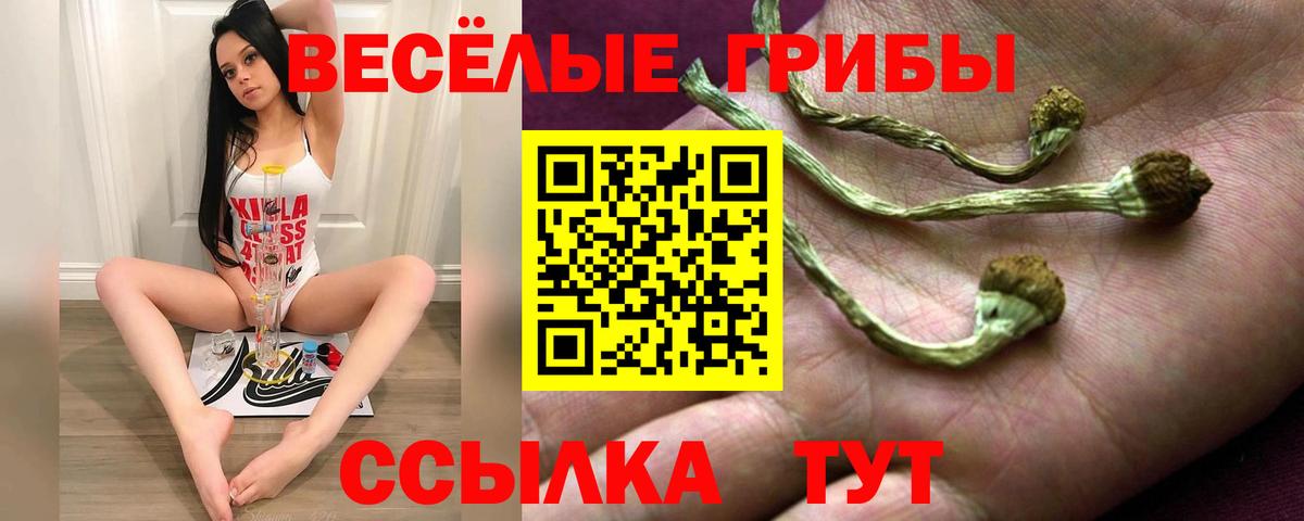 Псилоцибиновые грибы MAGIC MUSHROOMS  Галлюциногенные грибы Psilocybine cubensis  Якутск  Вход с VPN 
