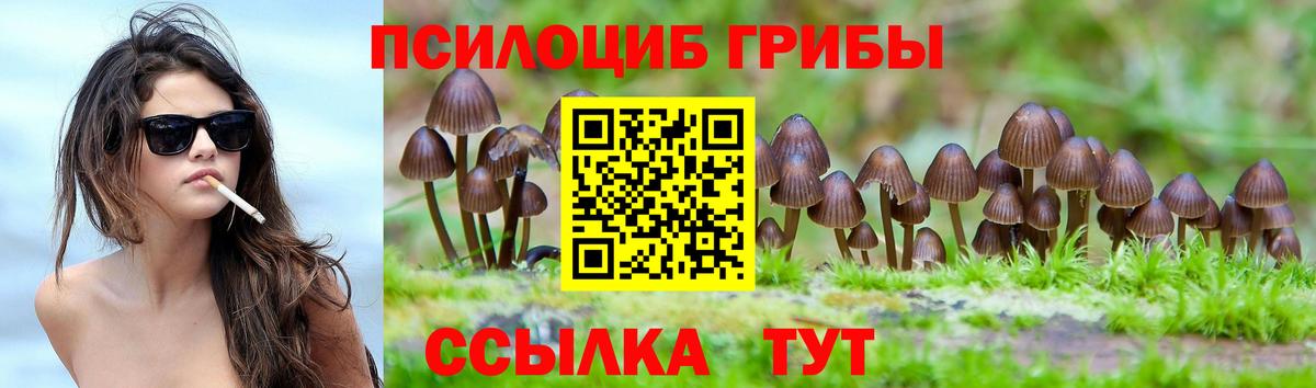 Псилоцибиновые грибы ЛСД Якутск
